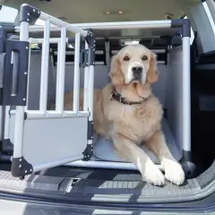 Sicherheitsgurt Hund ADAC: Schützen Sie Ihren Hund im Auto effektiv