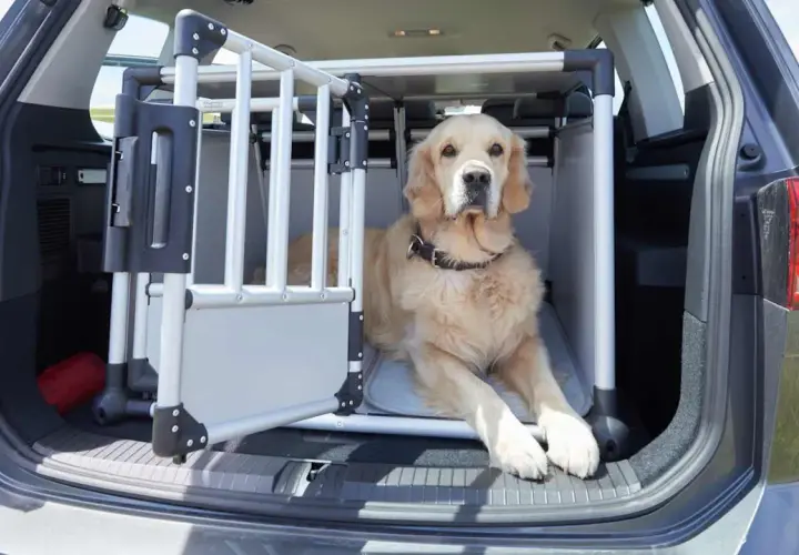 Sicherheitsgurt Hund ADAC: Schützen Sie Ihren Hund im Auto effektiv