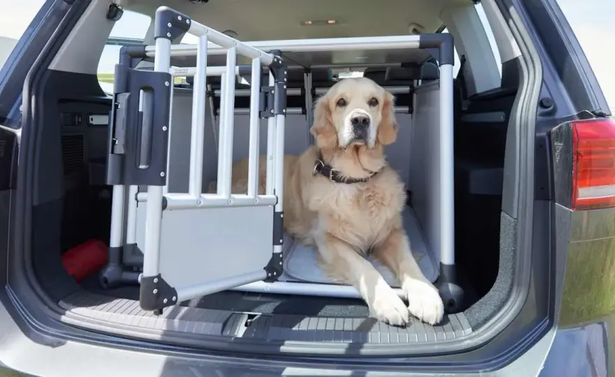 Sicherheitsgurt Hund ADAC: Schützen Sie Ihren Hund im Auto effektiv